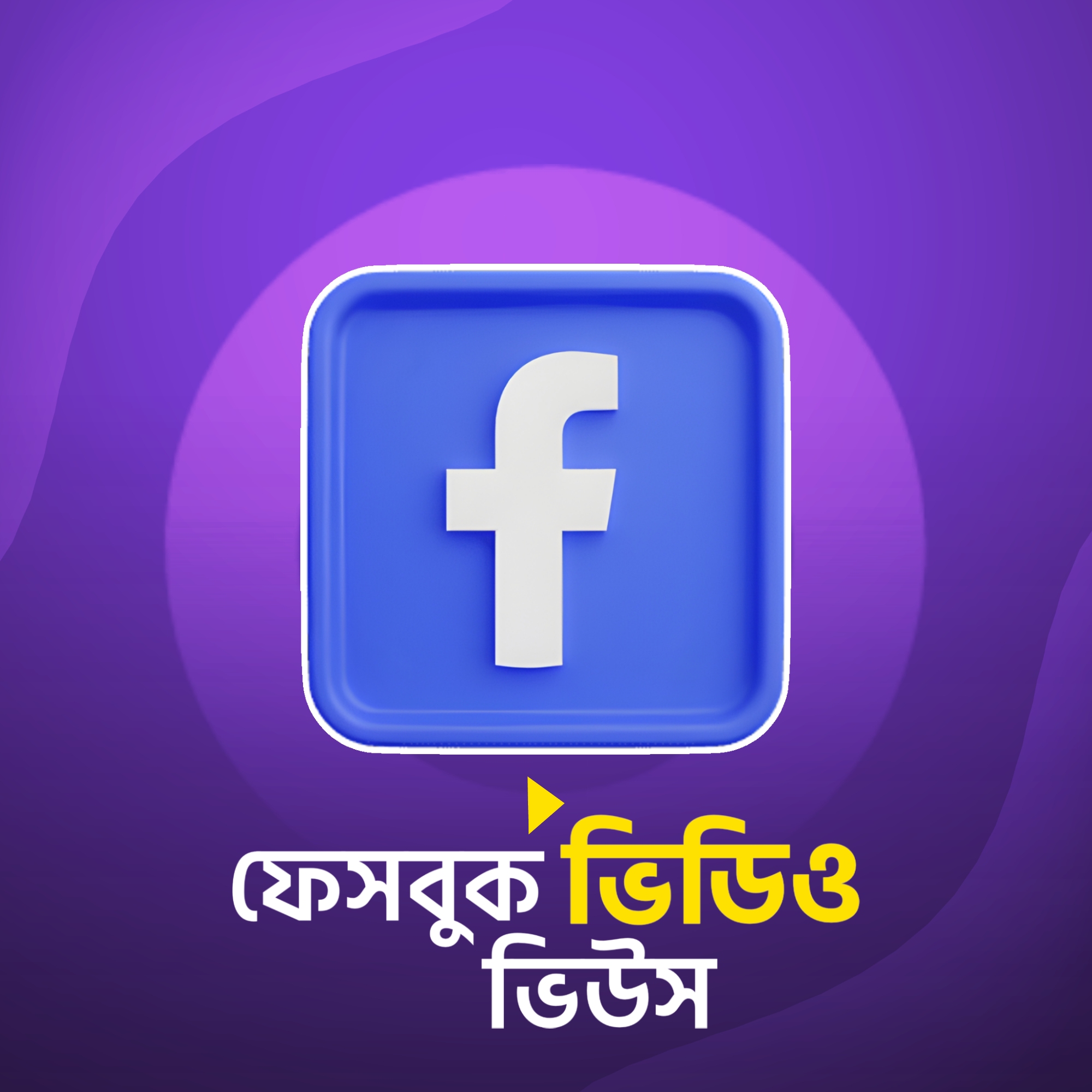 FB VIDEO VIEWS